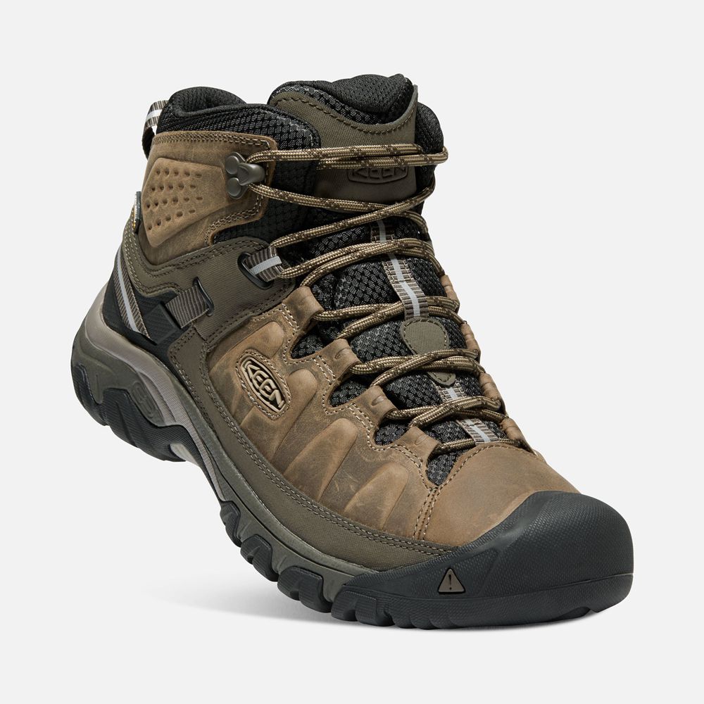 Keen Laarzen Heren Bruin - Targhee Iii Waterproof Mid - 67029-QIRT